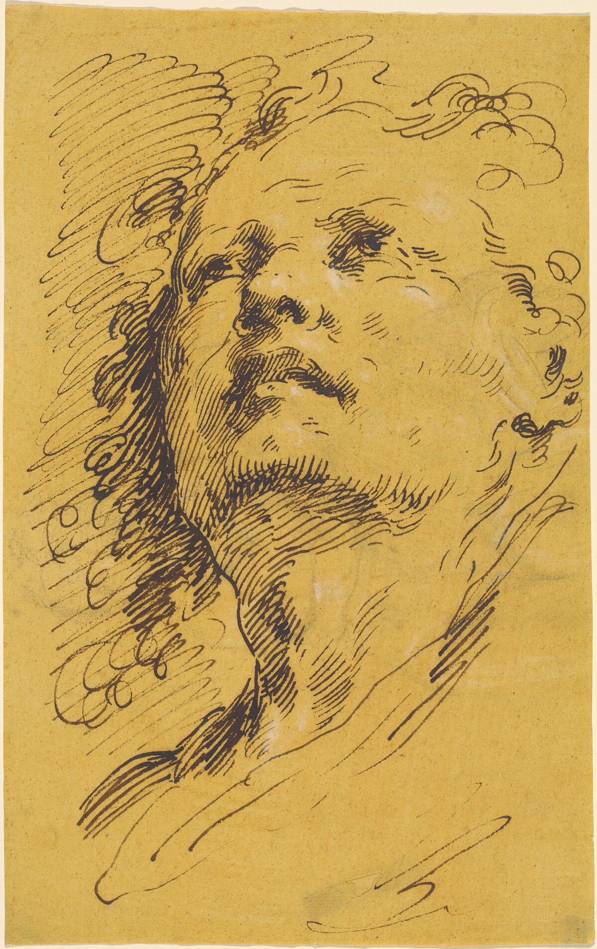 Head of a Man Looking Up by Pietro Antonio Novelli