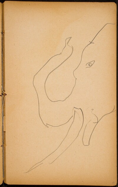 Elefantenkopf (Elephant Head) [p. 33]