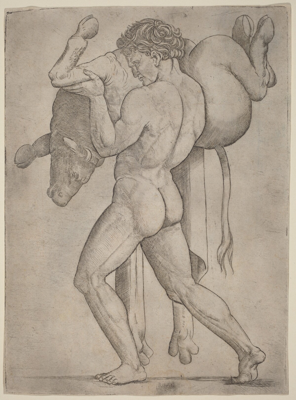 Hercules and the Cretan Bull by Giovanni Antonio da Brescia
