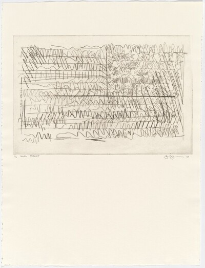 1st Etchings: Flag [trial proof]