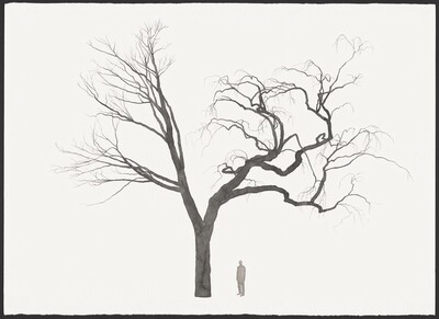 Untitled (Study for Graft)