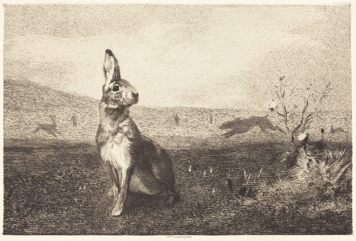 The Hare (Le Lièvre) by Félix Bracquemond after Albert de Balleroy