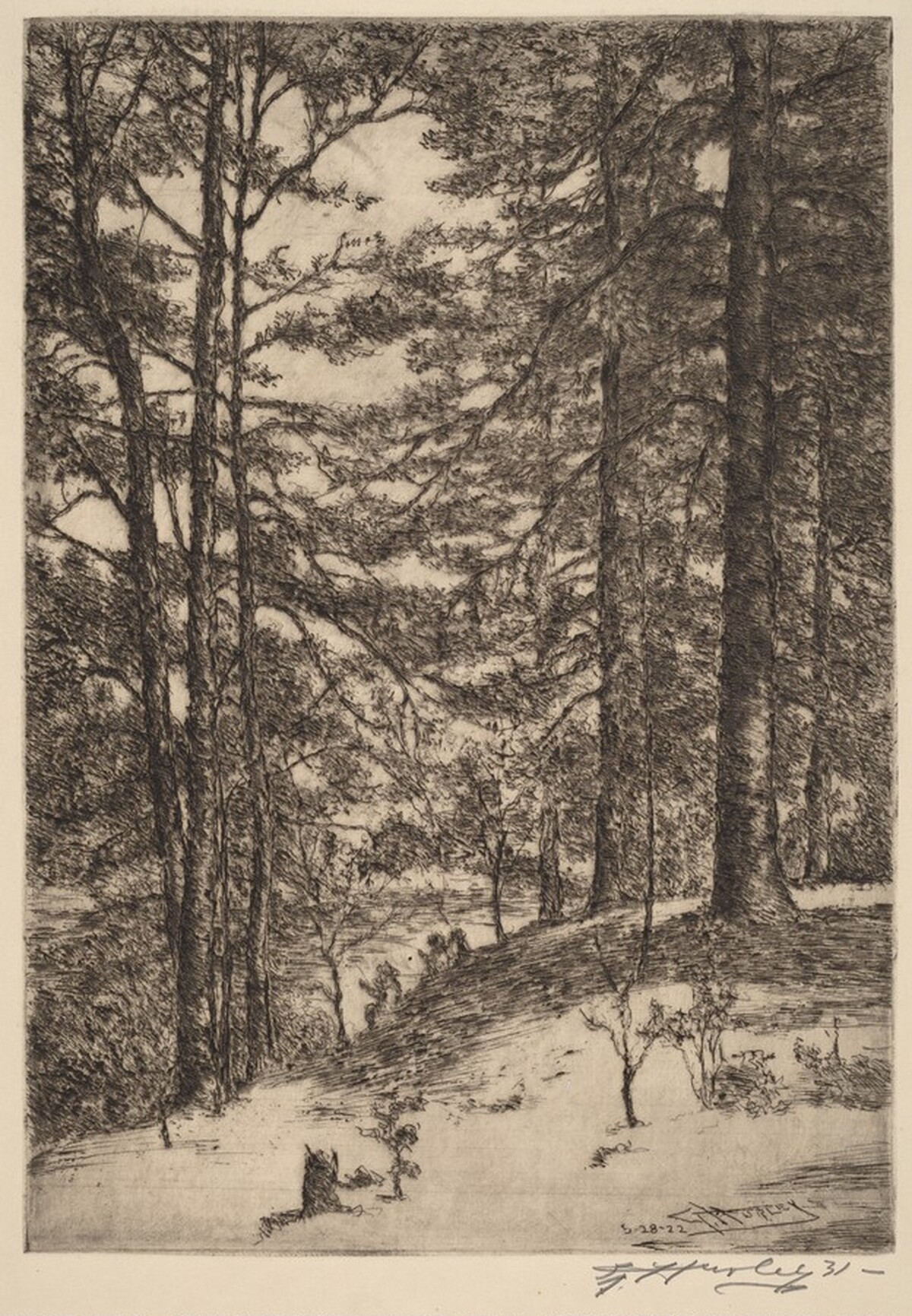 Kentucky Woods by Edward Timothy Hurley