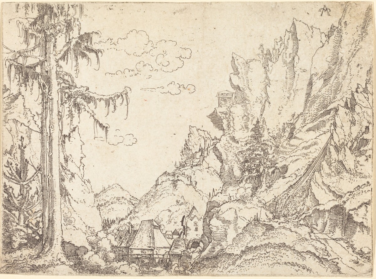 Mountain Landscape by Erhard Altdorfer