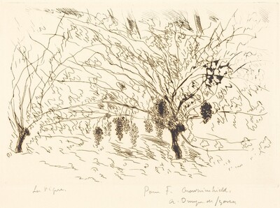 La Vigne
