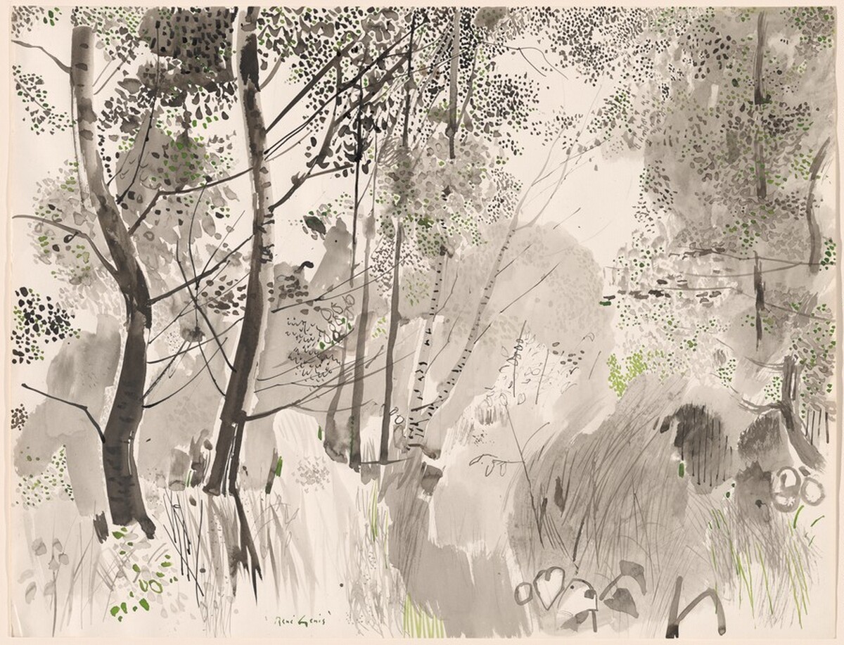 Underbrush by René Genis