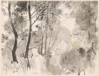 Underbrush