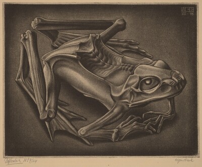 Mummified Frog