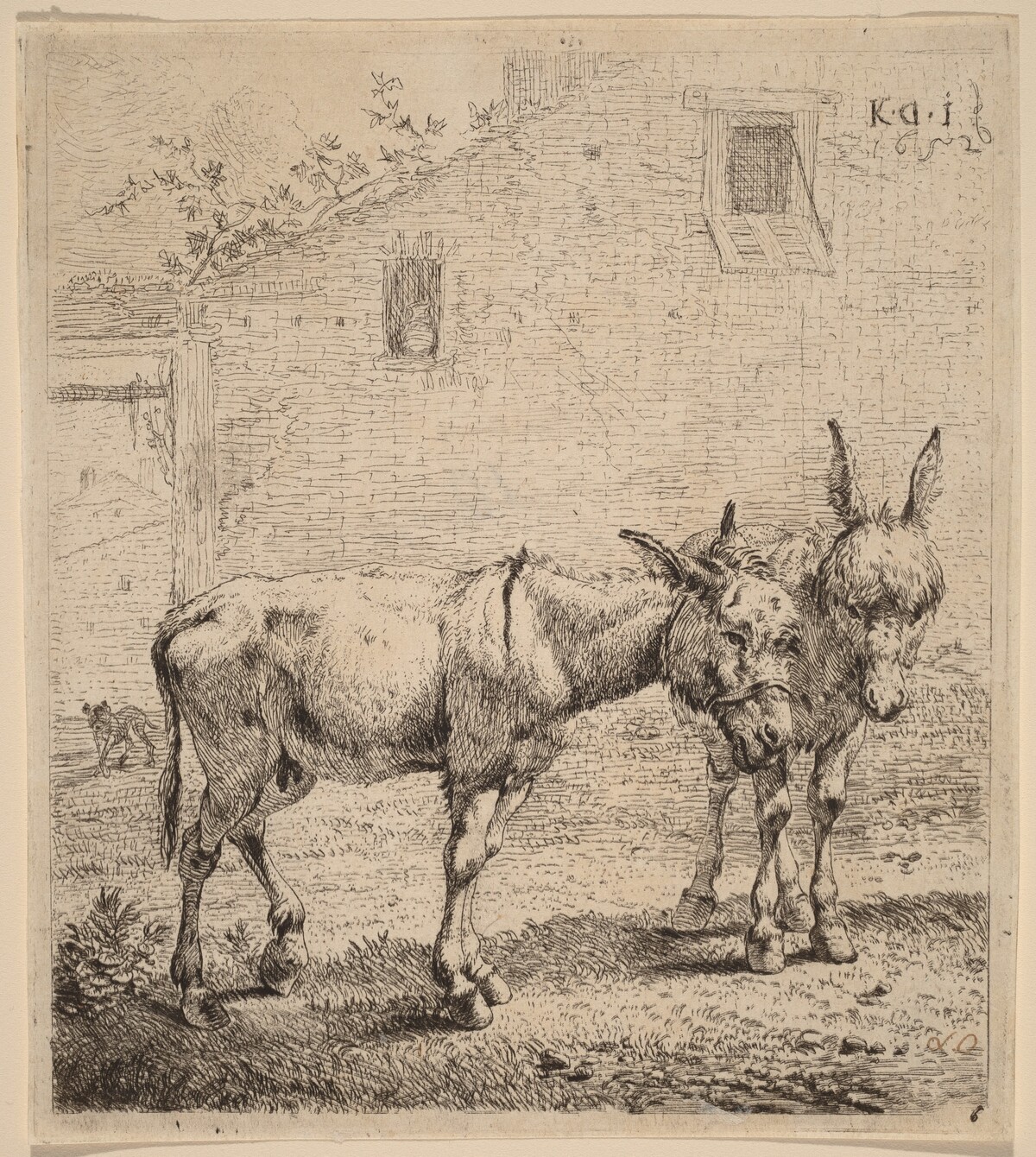 Two Asses by Karel Dujardin