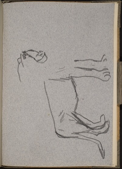 Begonnene Löwenstudie (Partial Lion) [p. 35]