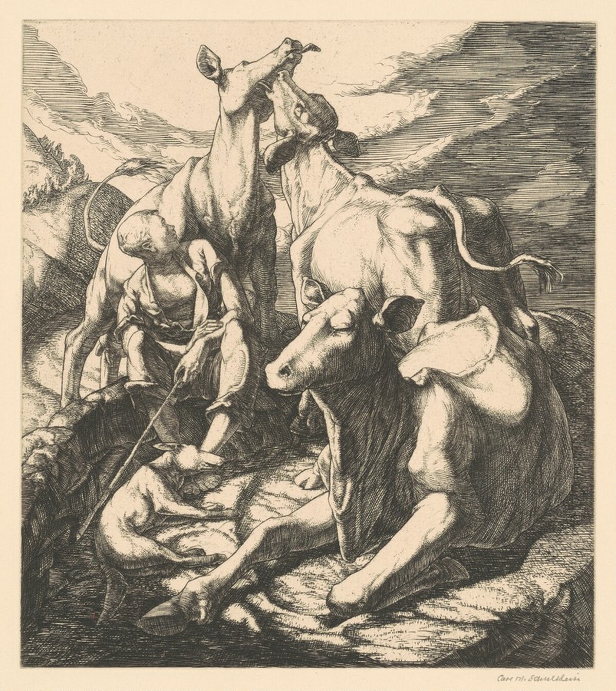 Friends by Carl M. Schultheiss
