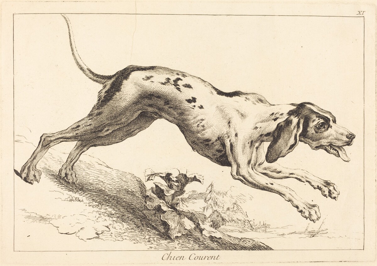 Chien courent (Running Hound) by Jacques-Philippe Le Bas and Jean Eric Rehn after Jean-Baptiste Oudry