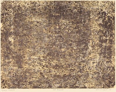 Sol becqueté