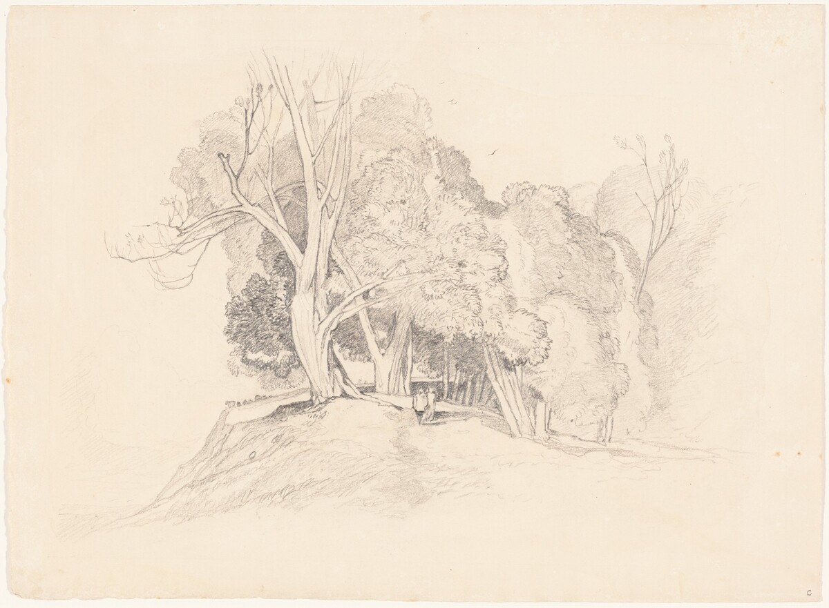 Landscape with Trees by British 19th Century, after John Sell Cotman