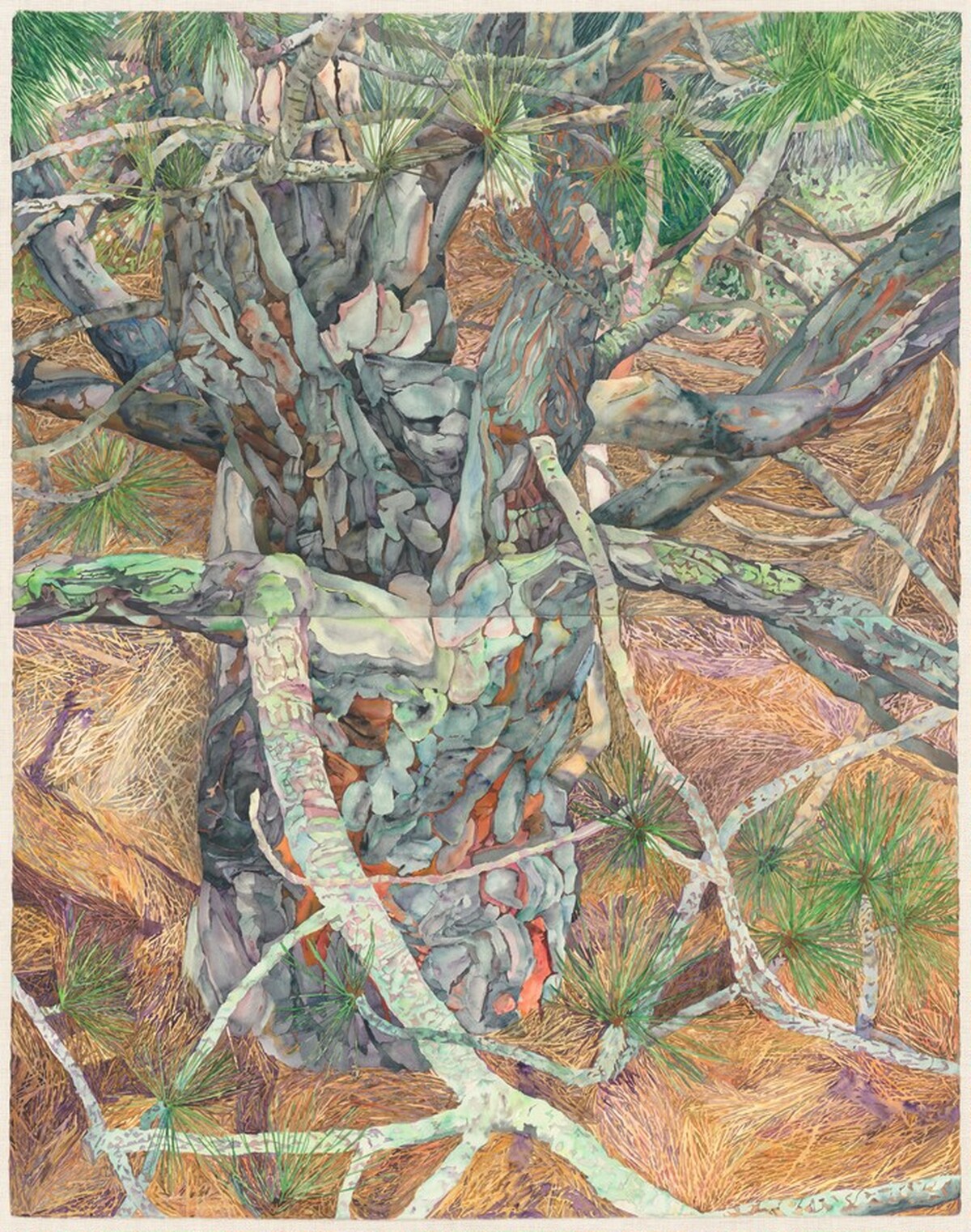 Untitled by Patricia Tobacco Forrester