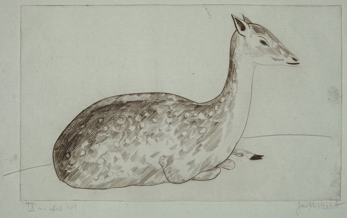 Doe Lying Down (Biche couchée) by Joseph Hecht