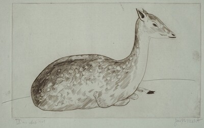 Doe Lying Down (Biche couchée)