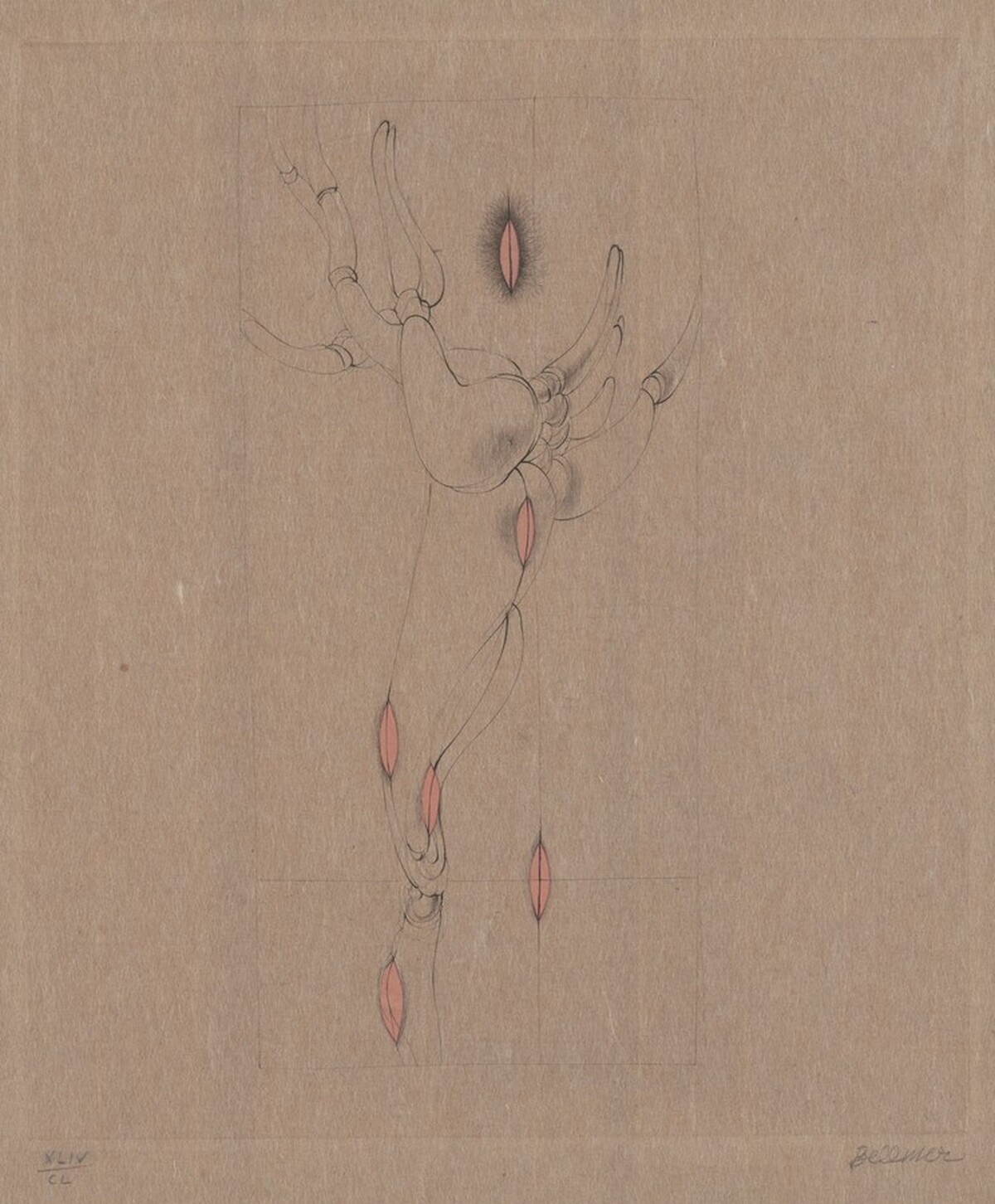 Untitled by Hans Bellmer