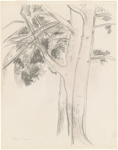 Three Trees