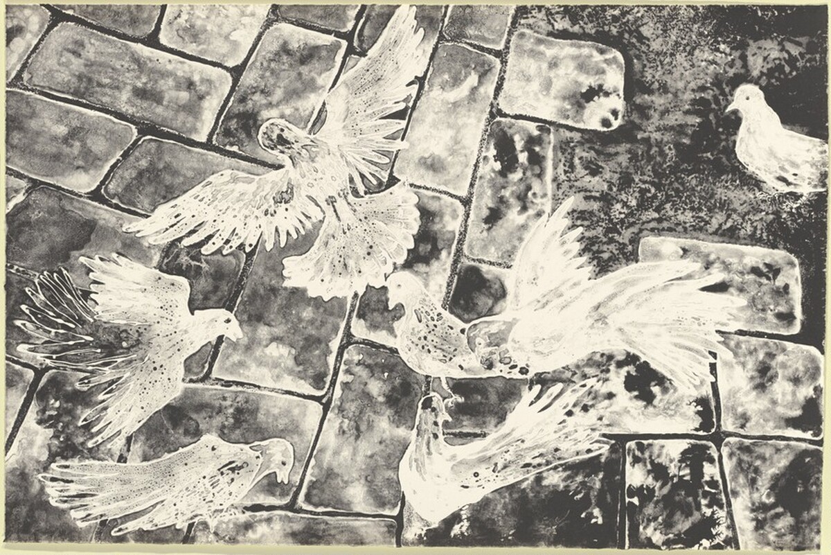 Pigeons on Cobblestone by Ruth Asawa
