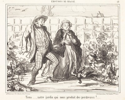 Tiens... notre jardin... produit des perdreaux!...