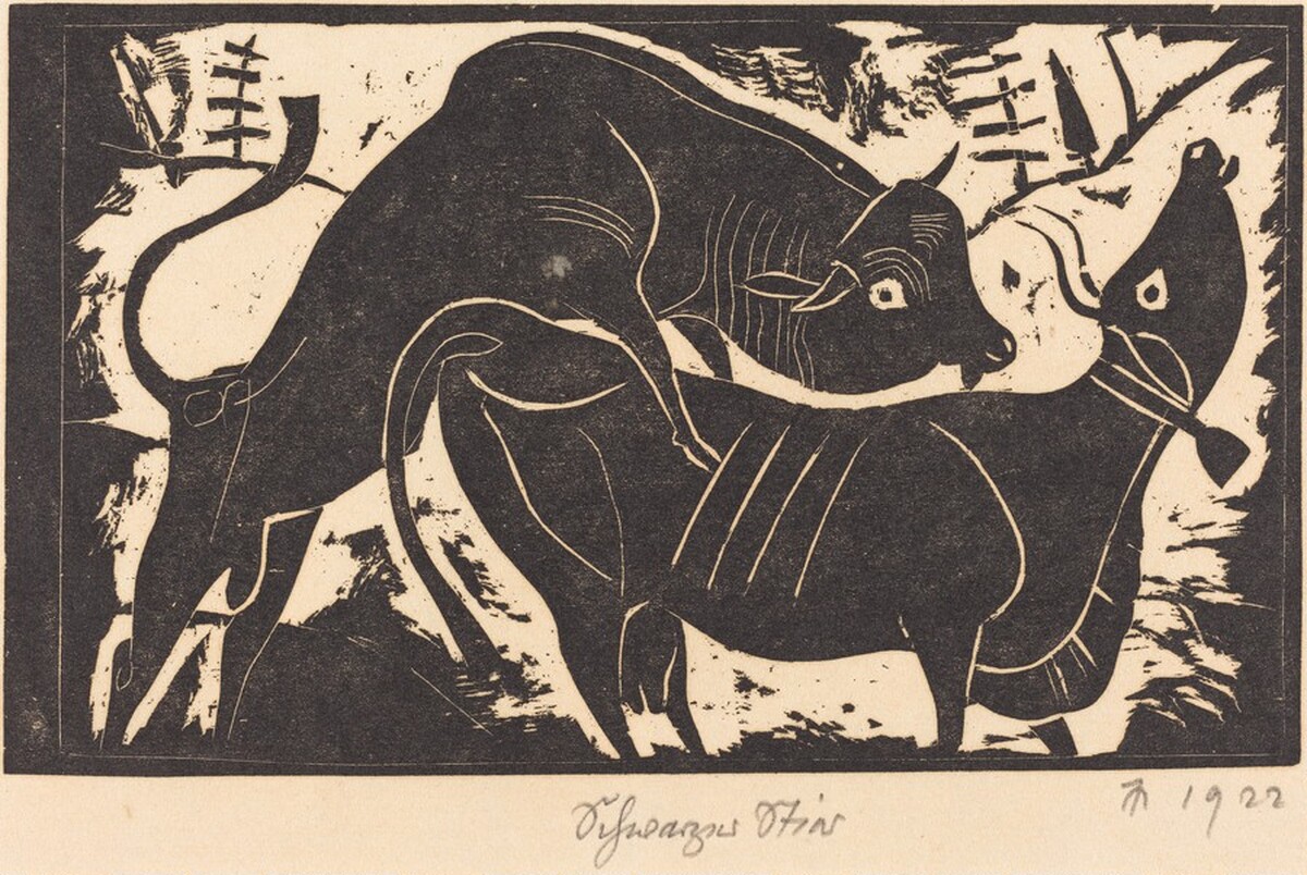 Schwarzer Stier (Black Cattle) by Gerhard Marcks