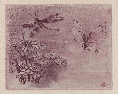 Ex Libris with a Butterfly and Dragonfly