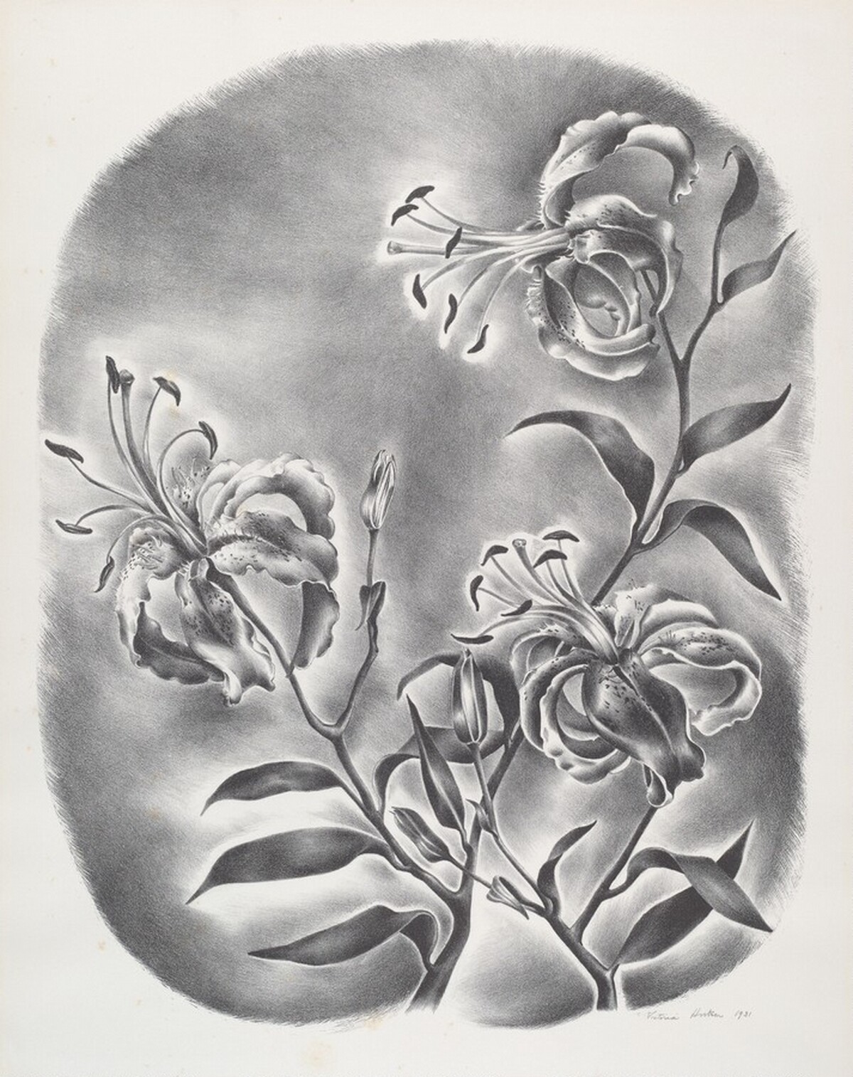 Tiger Lillies by Victoria Hutson Huntley