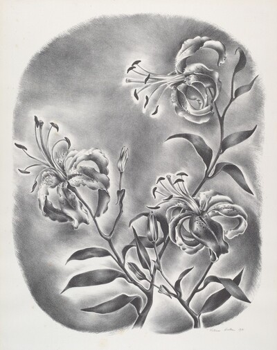 Tiger Lillies