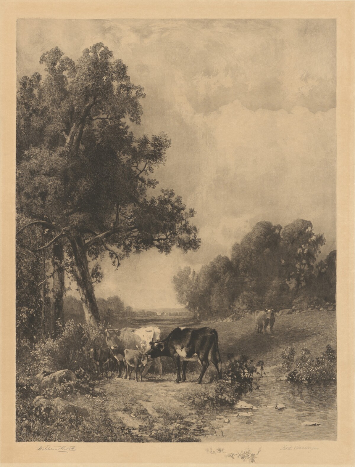 Untitled (Cows And Calves By A Stream) by Robert A. Eichelberger