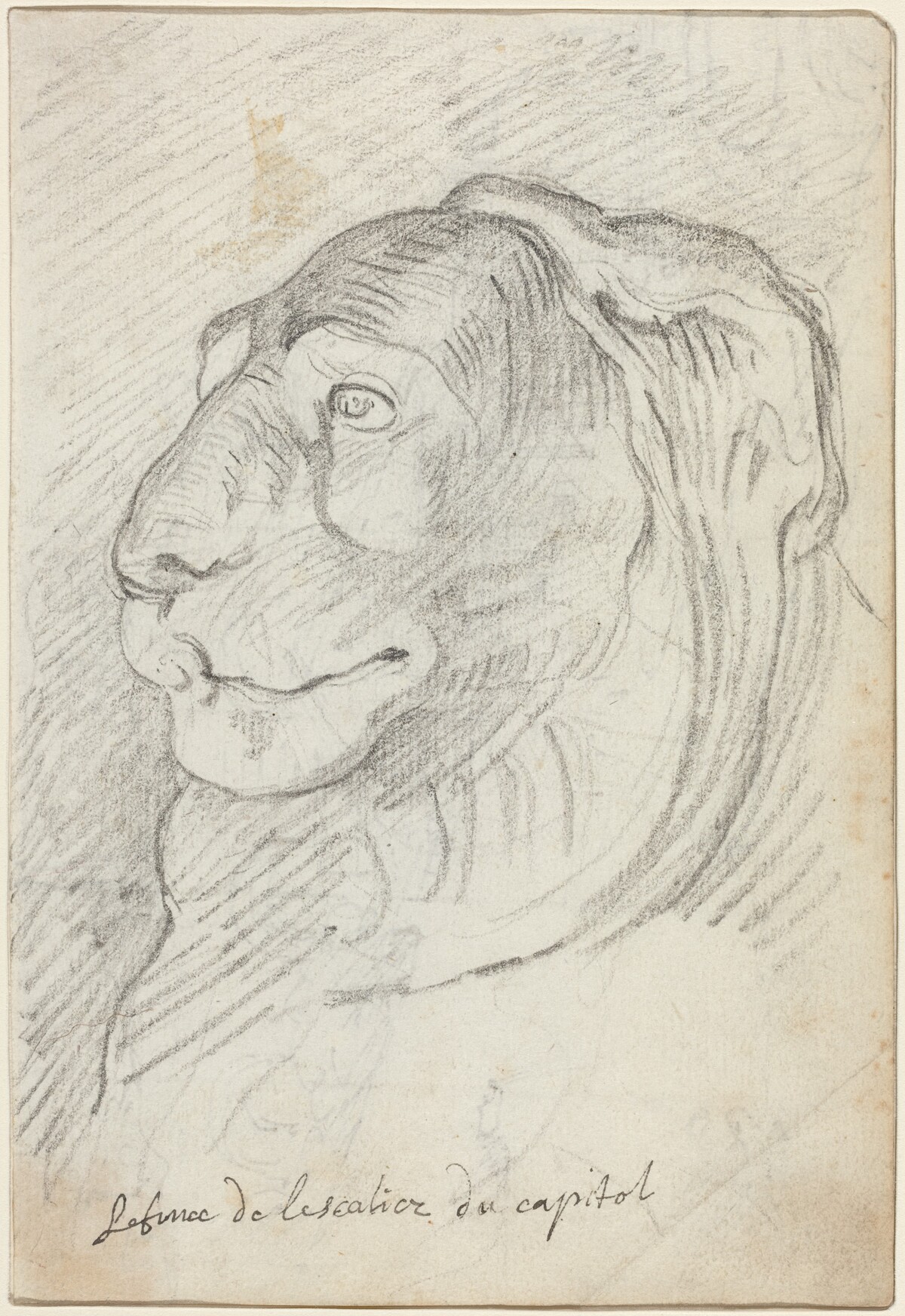 Lion's Head from the Capitoline Staircase by Augustin Pajou