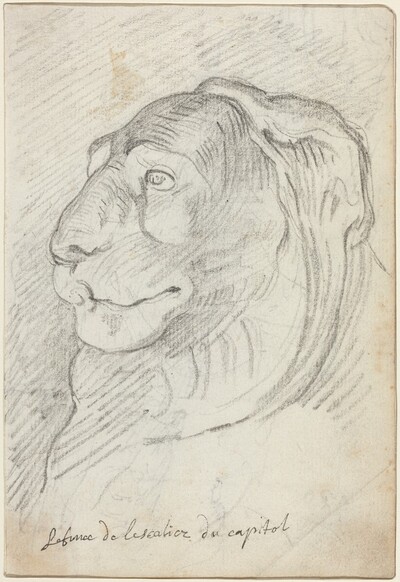 Lion's Head from the Capitoline Staircase