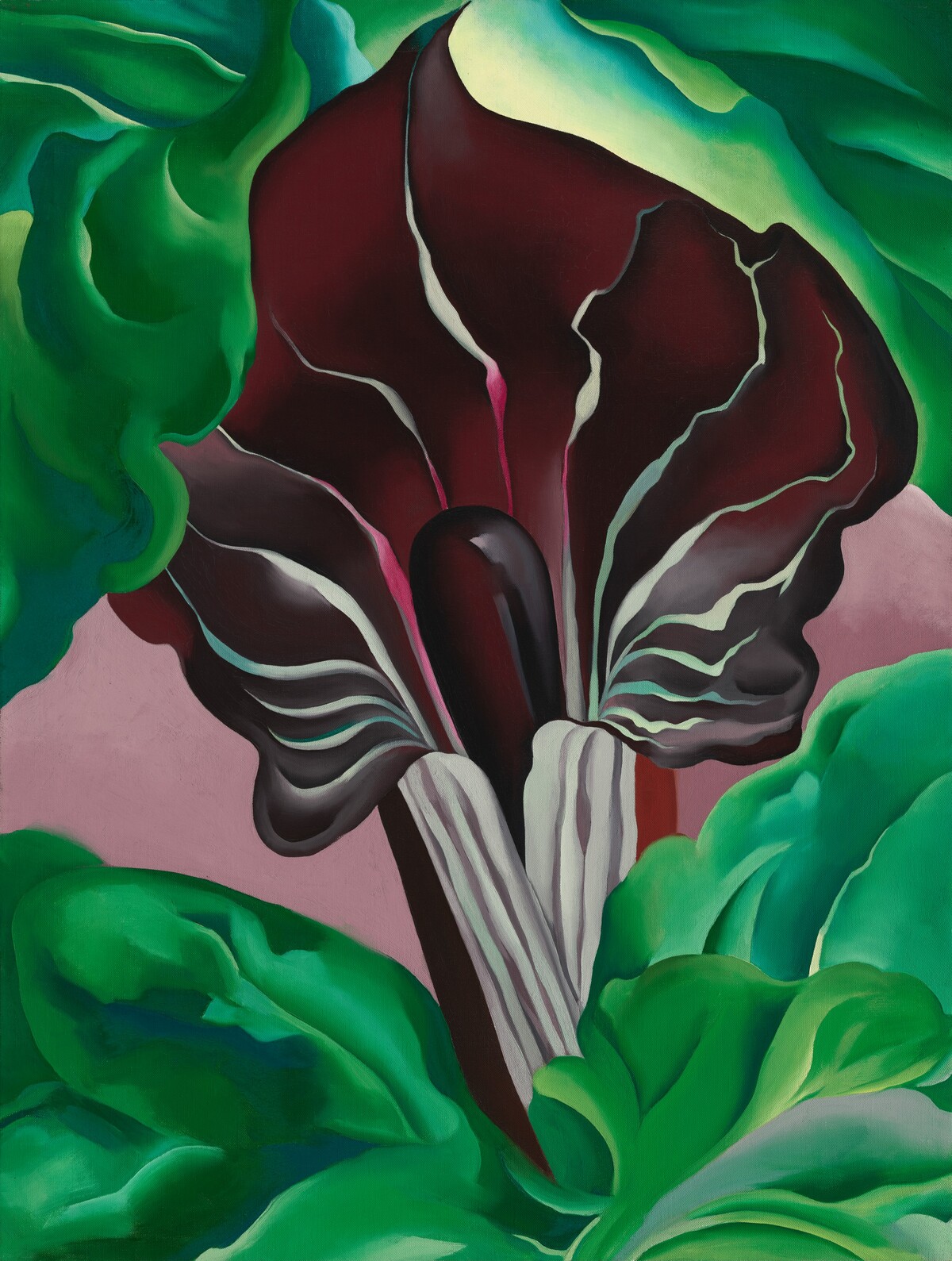 Jack-in-Pulpit - No. 2 by Georgia O'Keeffe