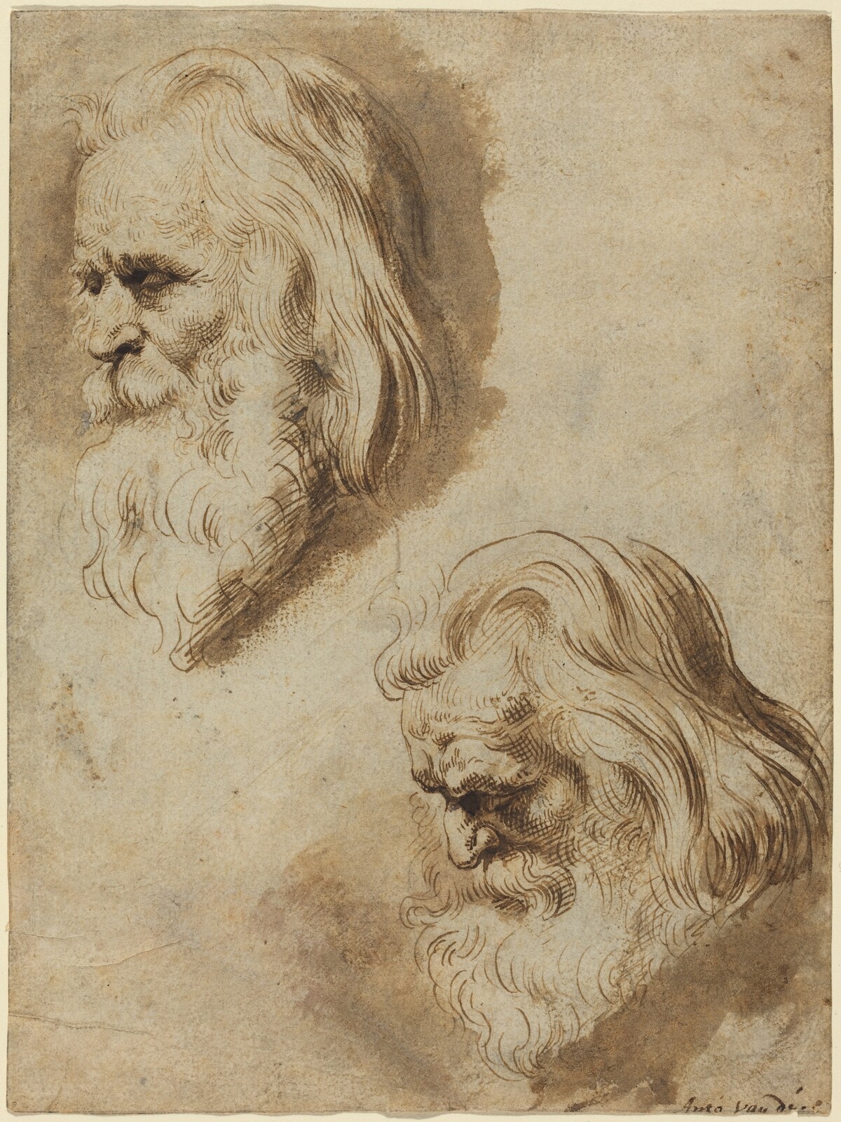 Two Studies of an Elderly Man's Head by Paulus Pontius after Sir Peter Paul Rubens