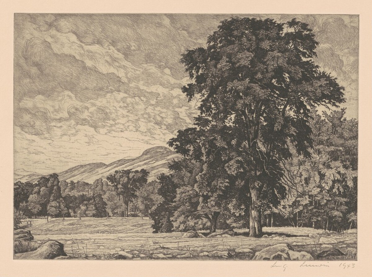 Stony Pasture by Luigi Lucioni