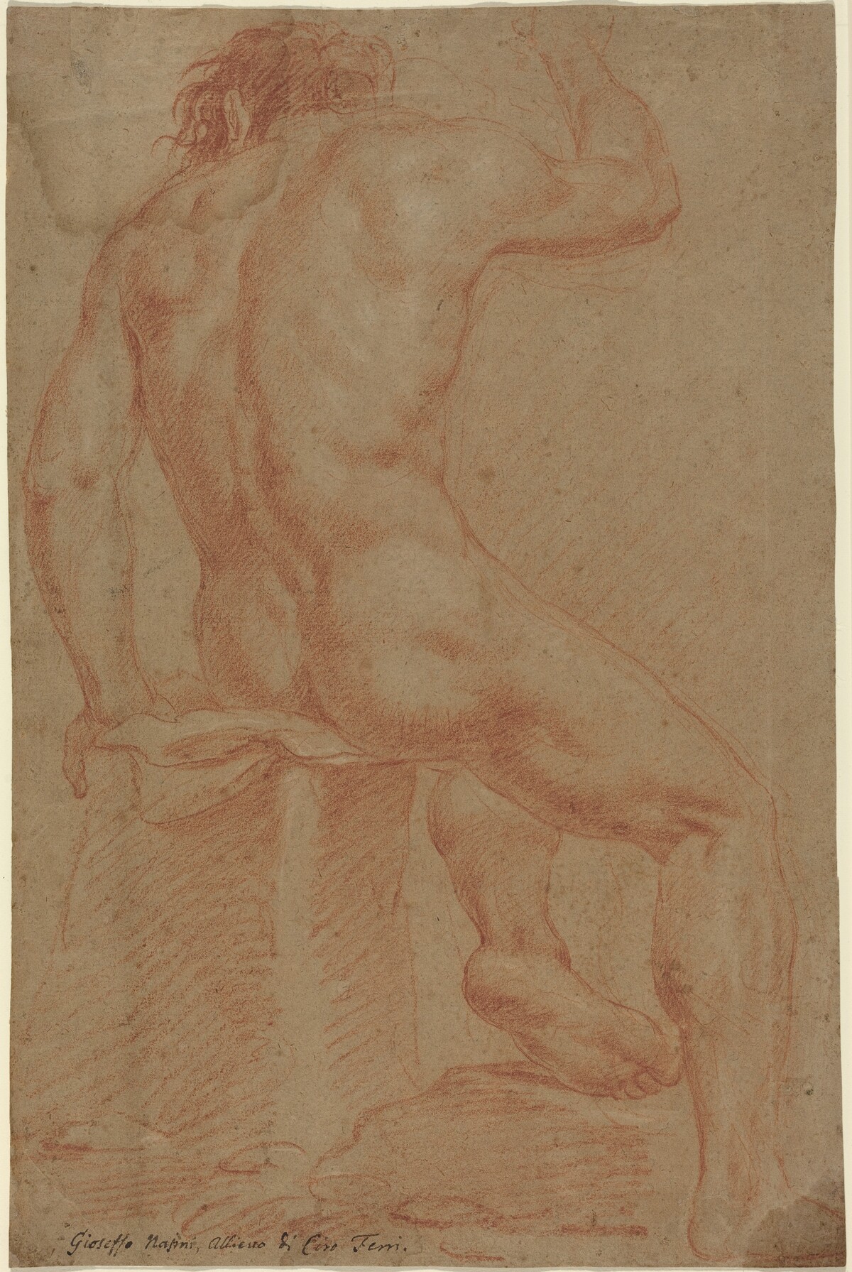 Nude Male Figure [recto] by Italian 17th Century