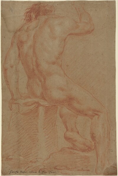 Nude Male Figure [recto]