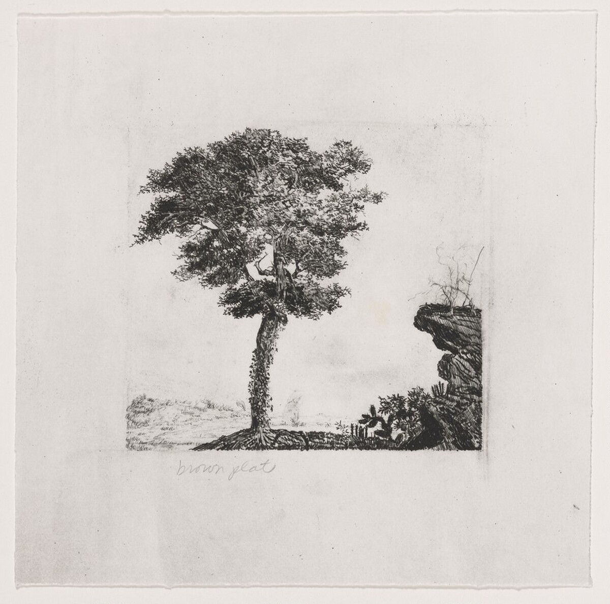 Untitled (#2) [working proof 1a] by Joan Nelson