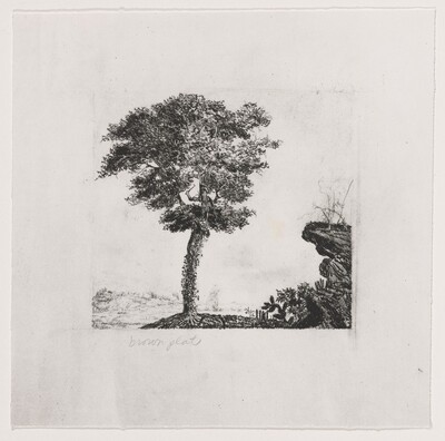 Untitled (#2) [working proof 1a]