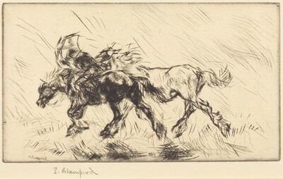 Through the Storm