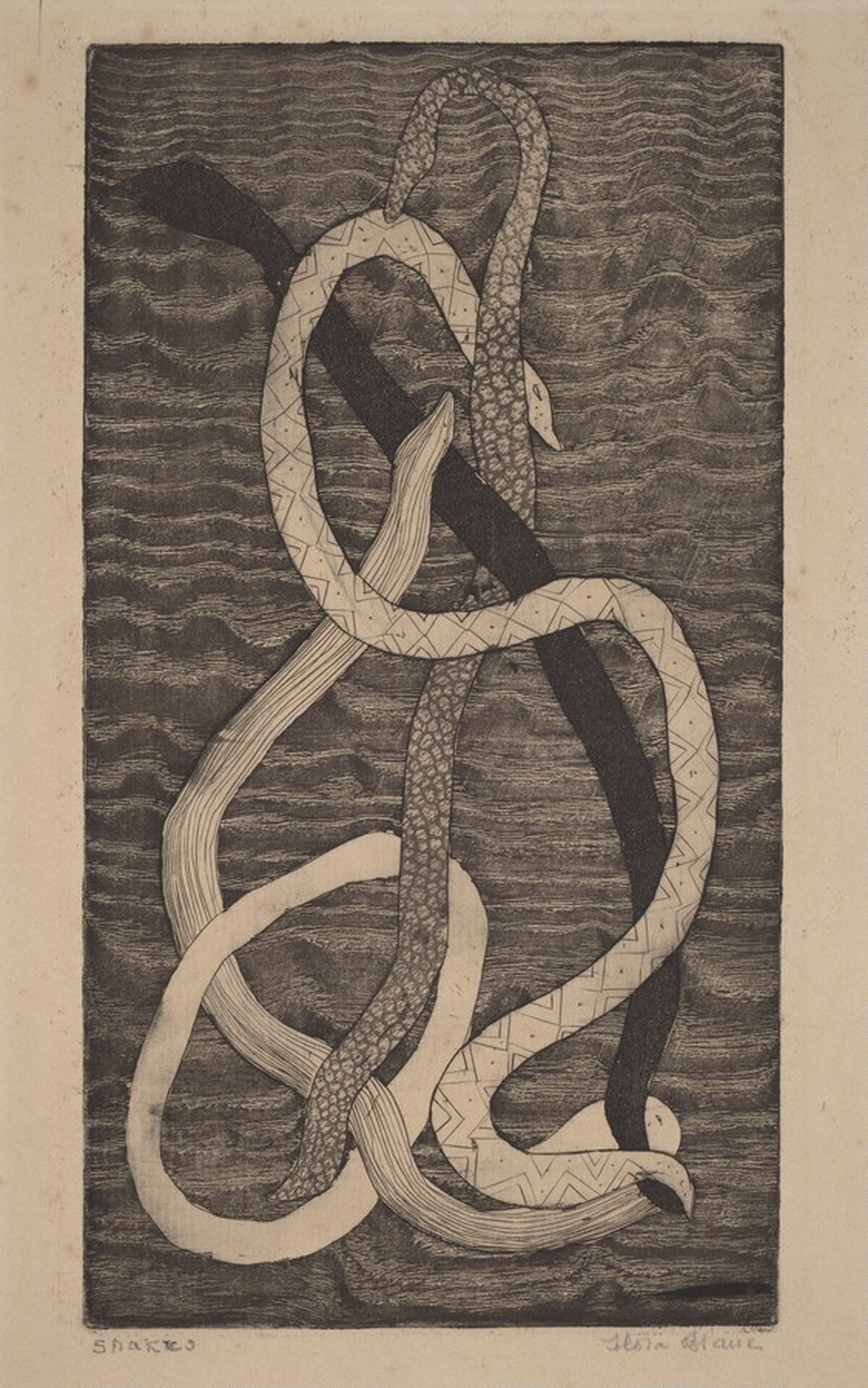 Snakes by Flora Blanc Reeder