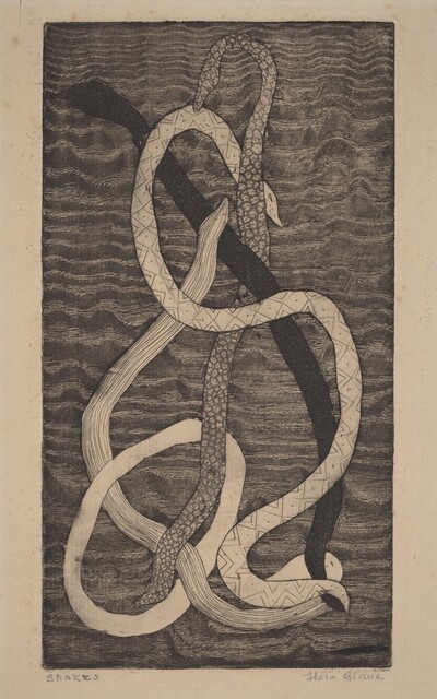 Snakes