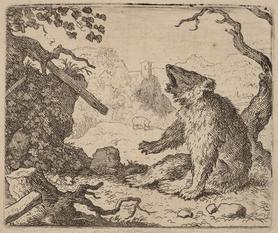 The Bear Sent as Messenger