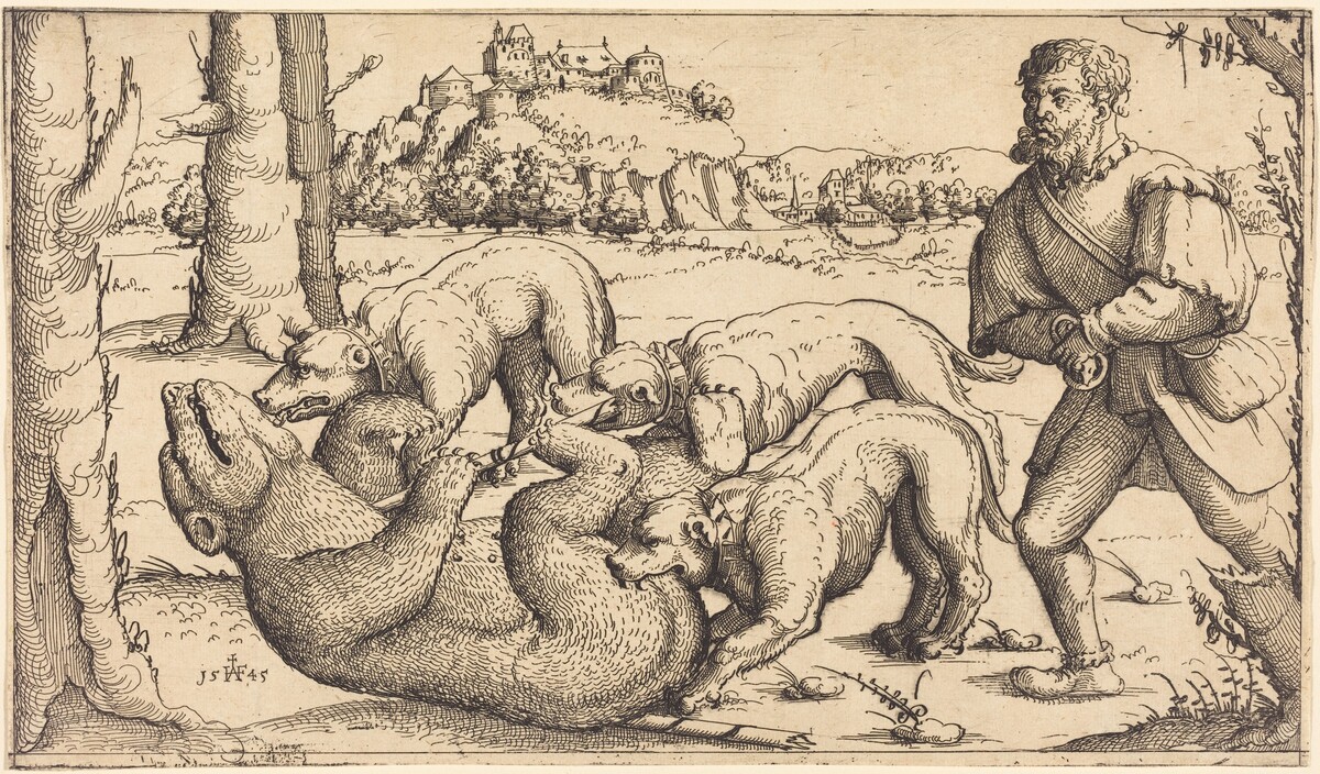 Bear Hunt by Augustin Hirschvogel