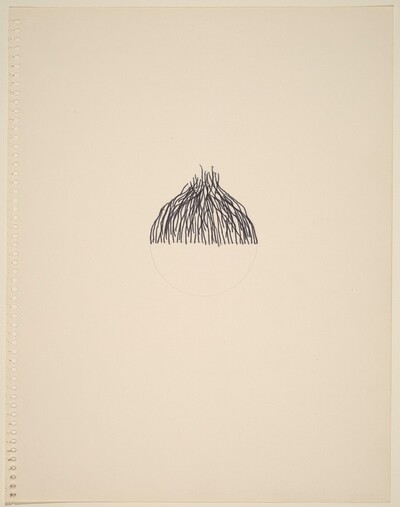 Onion Sketch Treatise