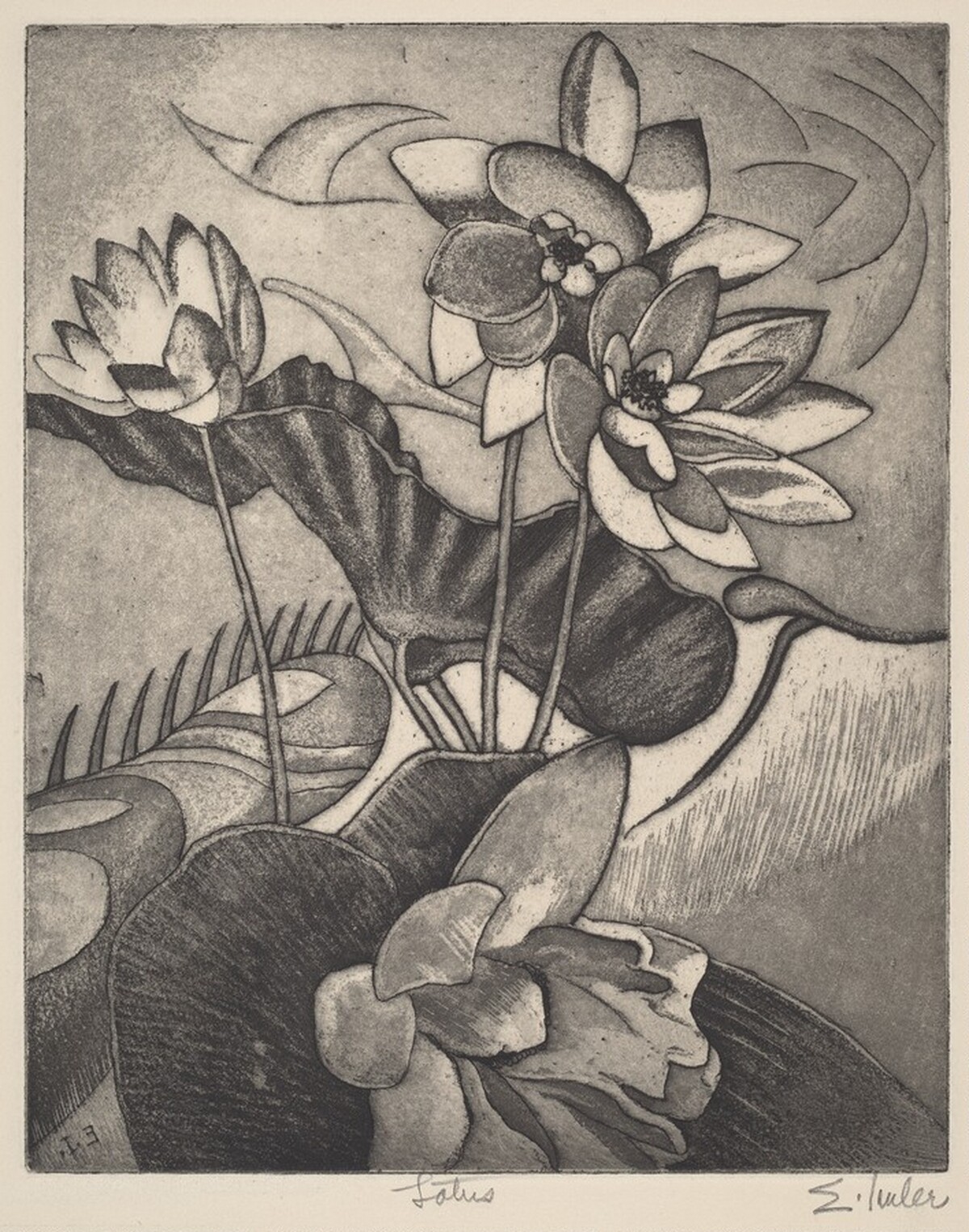 Lotus by Edgar Imler