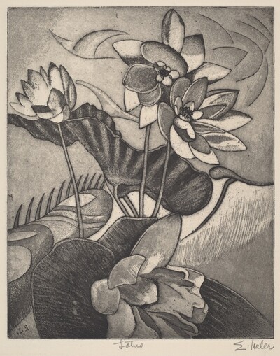 Lotus