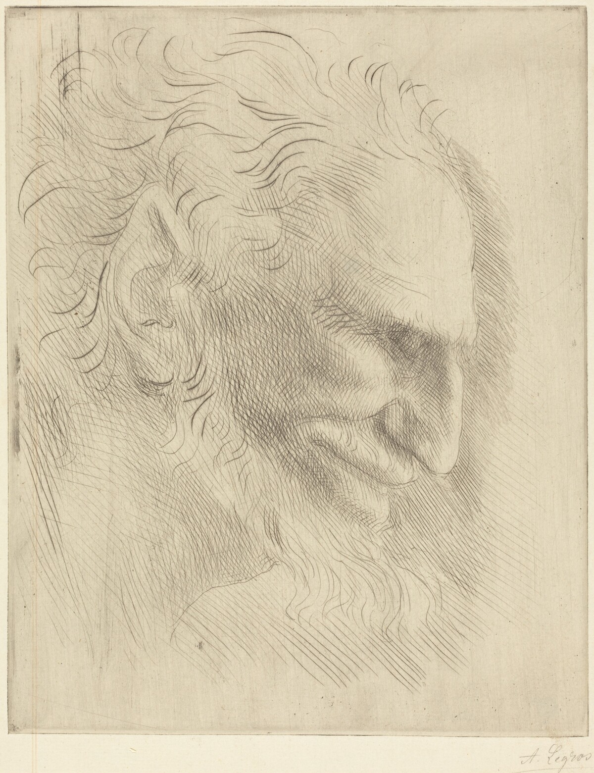 Study for the Head of a Man (Etude de tete d'homme) by Alphonse Legros