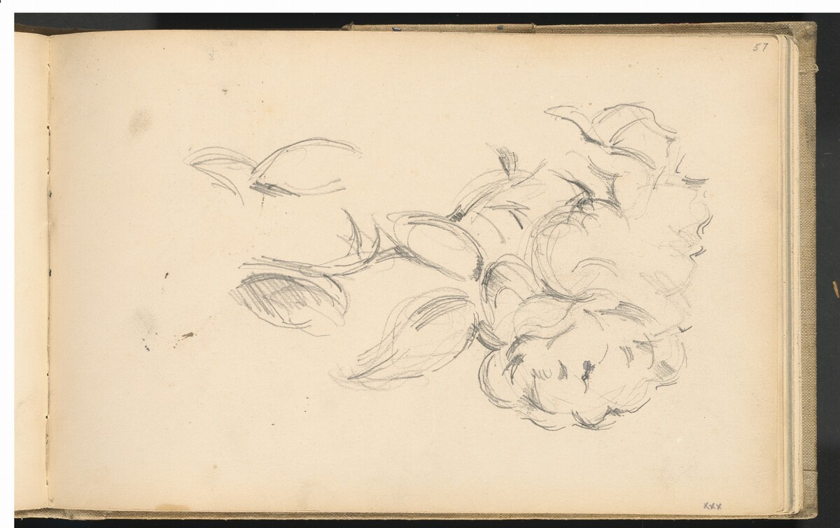 Peonies by Paul Cezanne