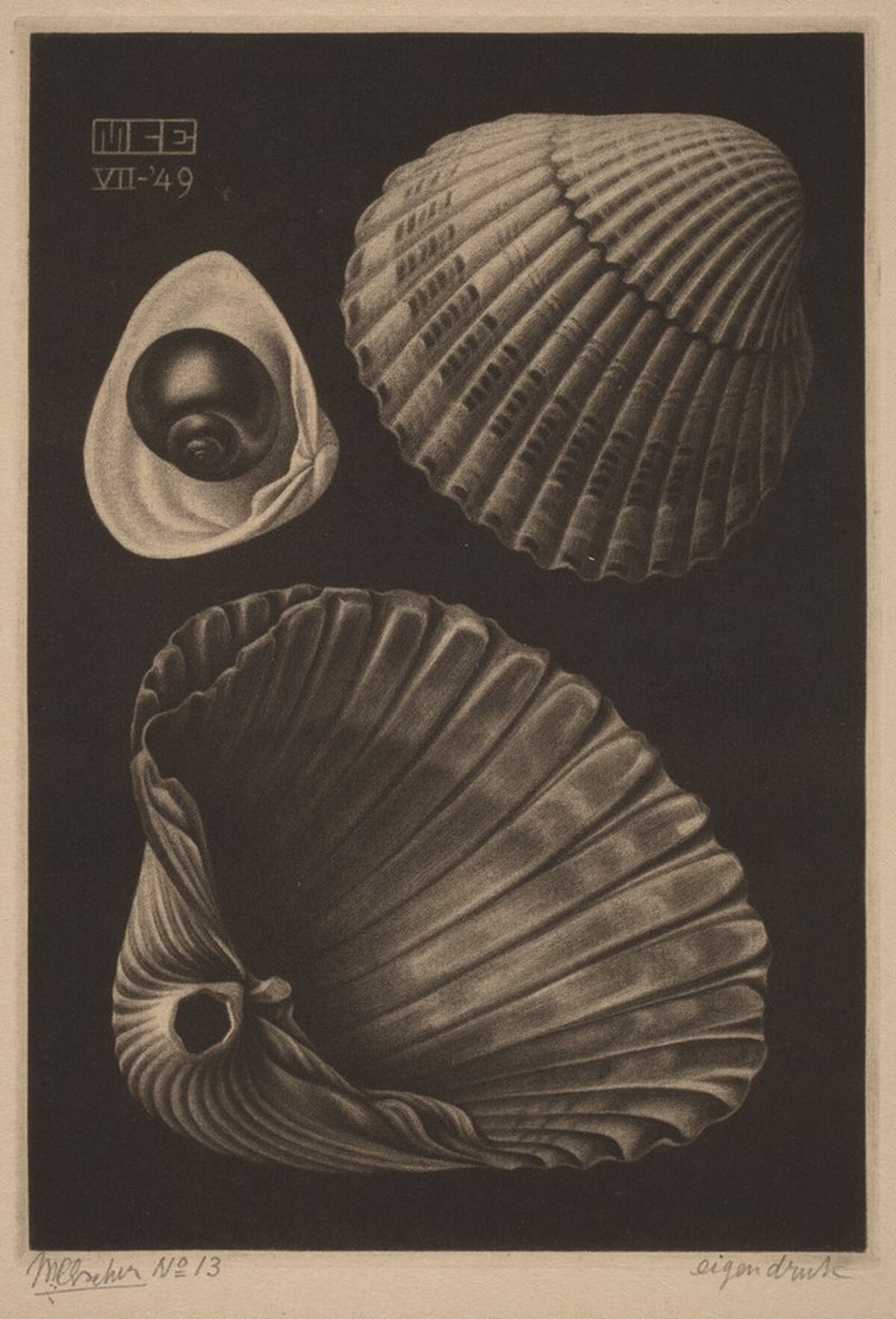 Sea-shells by M.C. Escher